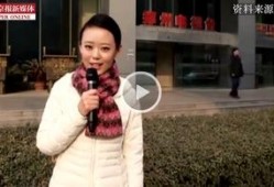 郑州美女爆料视频大全集,揭秘视频大全背后的魅力瞬间